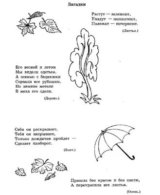 МИМИкнижки. Загадки-рифмы - купить в Москве по лучшей цене | Издательство  «Робинс»