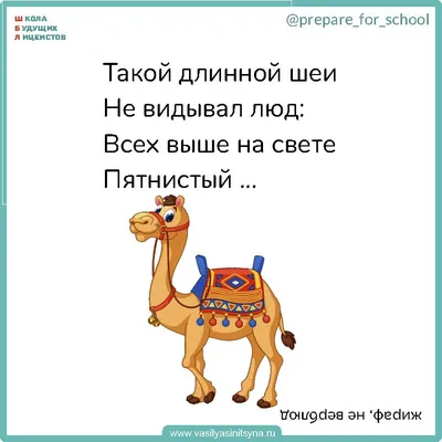 Загадки на внимание в картинках