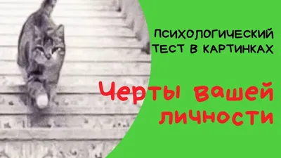 Только гений заметит букву В среди Р за 5 секунд - простой способ проверить  внимательность - Главред