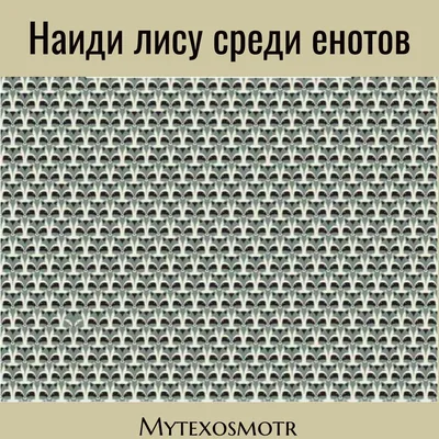 Картинка с загадкой на внимательность - найдите мышь в чаще из грибов