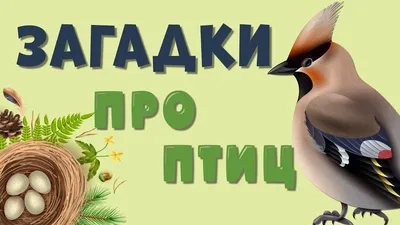 Загадки на внимательность: пробуем понять, что не так с детскими картинками  | Я Покупаю – женский журнал | Дзен