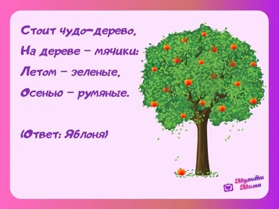 52 загадки про деревья: изучаем растения с детьми