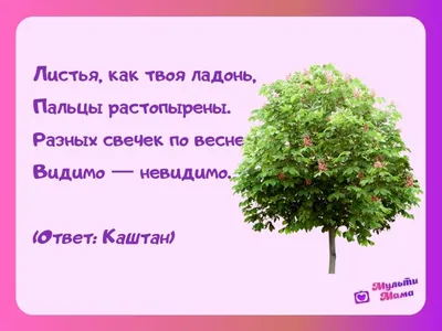 52 загадки про деревья: изучаем растения с детьми