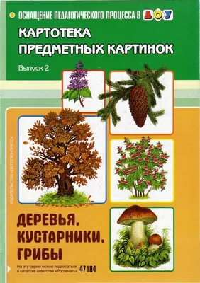 Картотека предметных картинок: «Деревья, кустарники, грибы» | Кустарники,  Грибы, Дерево