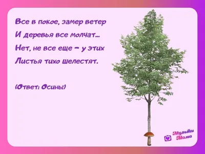 52 загадки про деревья: изучаем растения с детьми