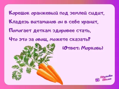 100 загадок про овощи для детей и взрослых с ответами