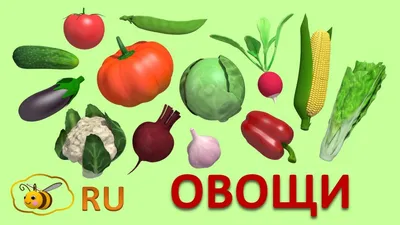 Учим овощи. Первые слова для малыша. Развивающий мультик для детей 1-3 года  - YouTube