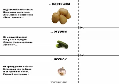 РОСМЭН Овощи, фрукты, ягоды. Развивающие карточки 0+