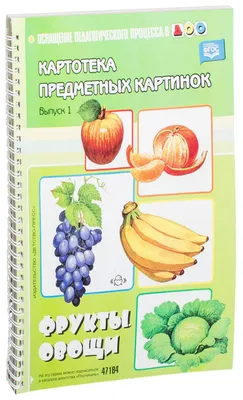 Картотека предметных картинок. Вып. 1. Фрукты. Овощи. 3-7 ле Детство-Пресс  26478241 купить в интернет-магазине Wildberries