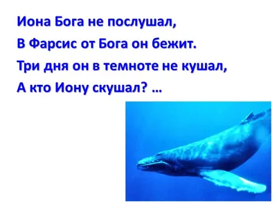 Проверь свою внимательность: найди спрятанных в картинках животных и людей  | Профессор Загадкин | Дзен