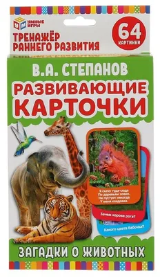 Дошкольное развитие ребенка: как выбрать и использовать картинки животных  для детей | В мире детей | Дзен