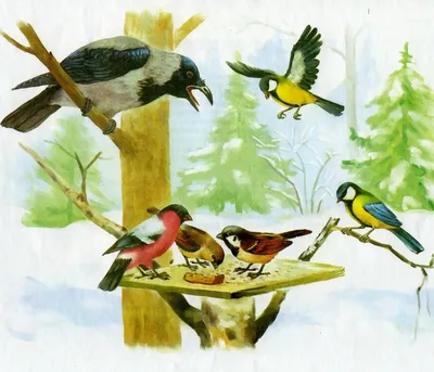 Занятие \"Зимующие птицы\" для детей старшей группы