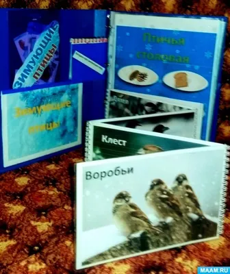 Лэпбук “Перелетные и зимующие птицы России” – Психологическое зеркало и  тИГРотека