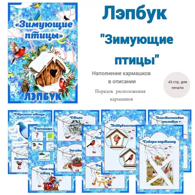 Аппликация “Зимующие птицы” – Детский сад №85 г. Гродно