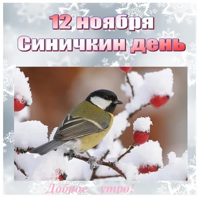 Зимующие птицы»