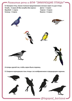 Занятие на тему \"Изучение некоторых зимующих птиц Урала\"