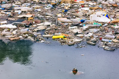 Урок по теме \"Environmental Pollution\" (Загрязнение окружающей среды)