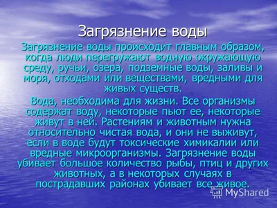 Роспотребнадзор назвал самые загрязненные водоемы в Ростовской области