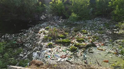 Презентация \"Загрязнение воды\" (7 класс) по биологии – скачать проект