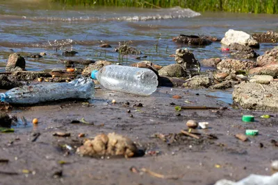 9 эффективных решений по борьбе с загрязнением воды для защиты окружающей  среды