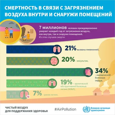 Источники загрязнения воздуха - ecomuseum.kz