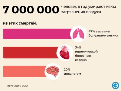 От загрязнения воздуха каждый год умирают 7 миллионов человек | Новости ООН