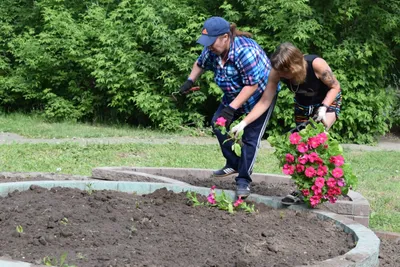 Продам офис на улице Малахова 2п/1 в Ленинском районе в городе Барнауле  10000000 руб база Олан ру объявление 105014806