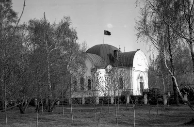 Почему белгородцы выбирают красивые даты свадеб | 02.02.2022 | Белгород -  БезФормата