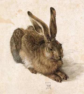 мультфильм заяц кролик кролик малыш PNG , природа, гриб, сердце PNG  картинки и пнг рисунок для бесплатной загрузки