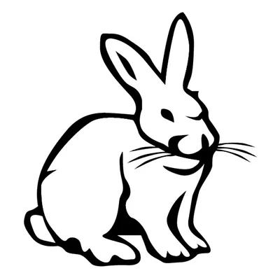 Заяц | Tiny Bunny Wiki | Fandom