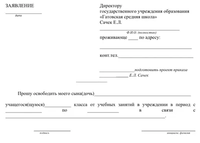 Исковое заявление на алименты в 2024 году: как правильно составить