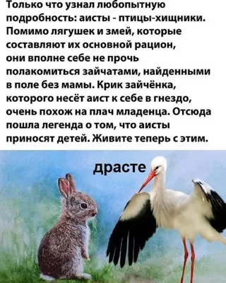 Набор наклеек оформительский \"Новогодние зайчата\" 49,3х33,6см купить в Чите  Наклейки в интернет-магазине Чита.дети (9165512)