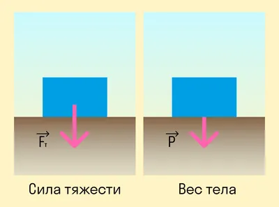 Как подготовиться к ЕГЭ по физике — план