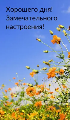 Картинка: Замечательного дня!