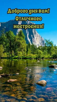 Картинки \"Хорошего дня и отличного настроения!\" (520 шт.)