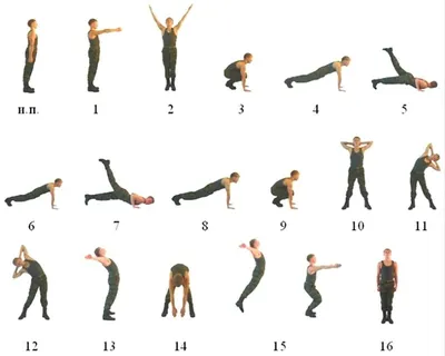 Упражнения с фитнес-резинкой — тренировка на всё тело в картинках