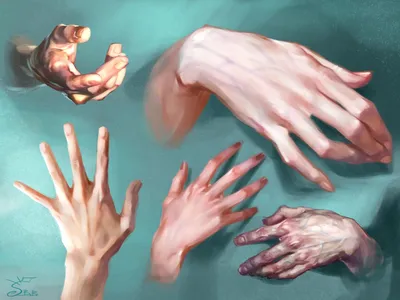 Картинка запястья руки: скачивание без водяных знаков