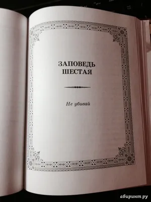 Заповеди: истории из жизни, советы, новости, юмор и картинки — Все посты,  страница 3 | Пикабу