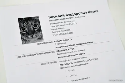 Никнейм и аватар профиля | ВКонтакте