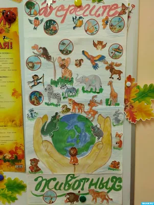 День защиты животных в Центральной детской библиотеке (6+)