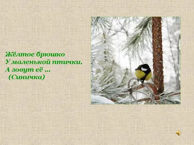 Картотека предметных картинок. Выпуск 9. \"Домашние, перелетные, зимующие  птицы\" - купить в интернет-магазине Игросити