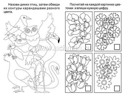 Занятие по развитию зрительного восприятия на тему \"Зимующие птицы\"