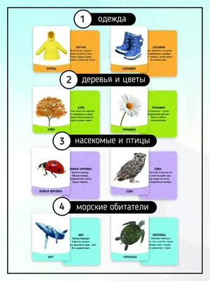 Лото Alatoys Веселые зверята ДМРЛТ14 купить по цене 6490 ₸ в  интернет-магазине Детский мир