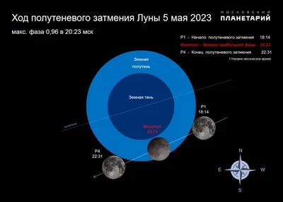 Жители Земли в ноябре увидят полное затмение Луны - Газета.Ru | Новости