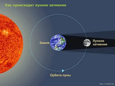 Лунное затмение 8 ноября 2022 – когда и где можно увидеть кровавую луну —  08.11.2022 — Статьи на РЕН ТВ