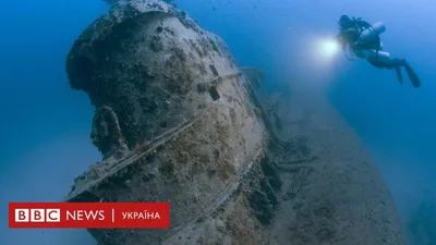 Затонувшие корабли оказались убежищами для сохранения обитателей моря -  EcoPravda.ru