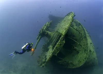 В Японии вдруг всплыли затонувшие корабли времён Второй мировой войны -  Одесса News