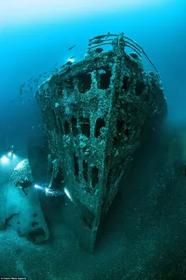 Самые известные затонувшие корабли в Красном море | Ассоциация Туроператоров