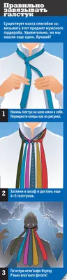 Как завязать правильно мужской галстук? Пошаговая инструкция с фото