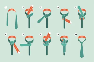 Завязать галстук виндзорским узлом, как просто и быстро завязать галстук,  как правильно завязать галстук мужчине